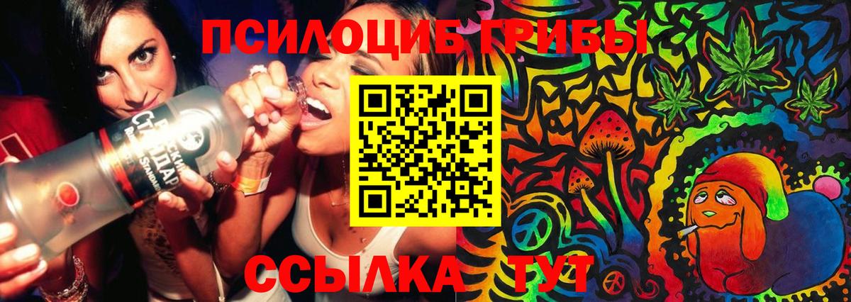 Галлюциногенные грибы Psilocybe  Вход с VPN  Ипатово 